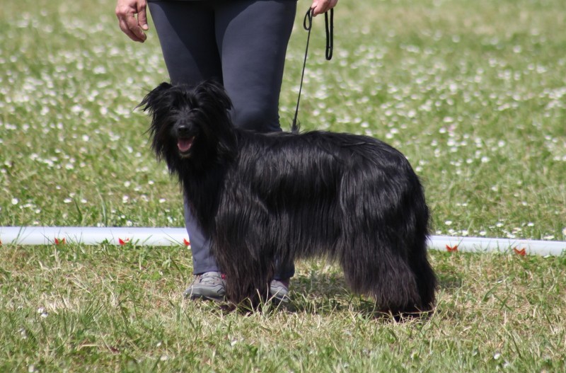 Hinano Du Moulin D'ébène