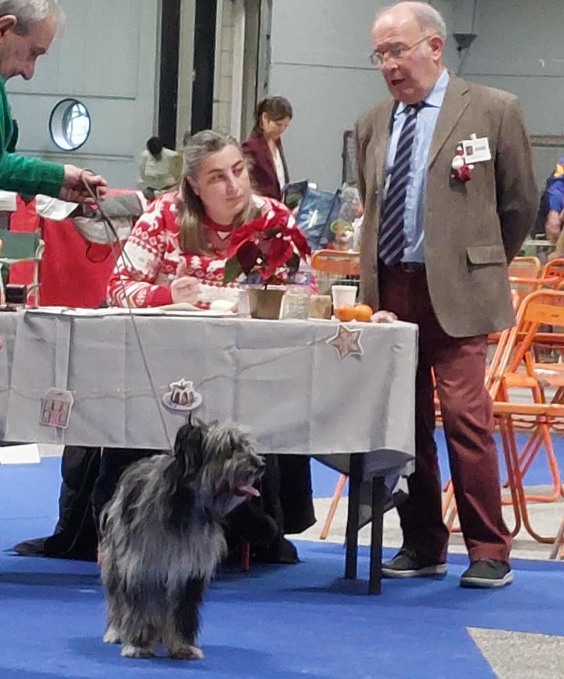 ARDOISE BLEUE 1EXCELLENT CACS JEUNE