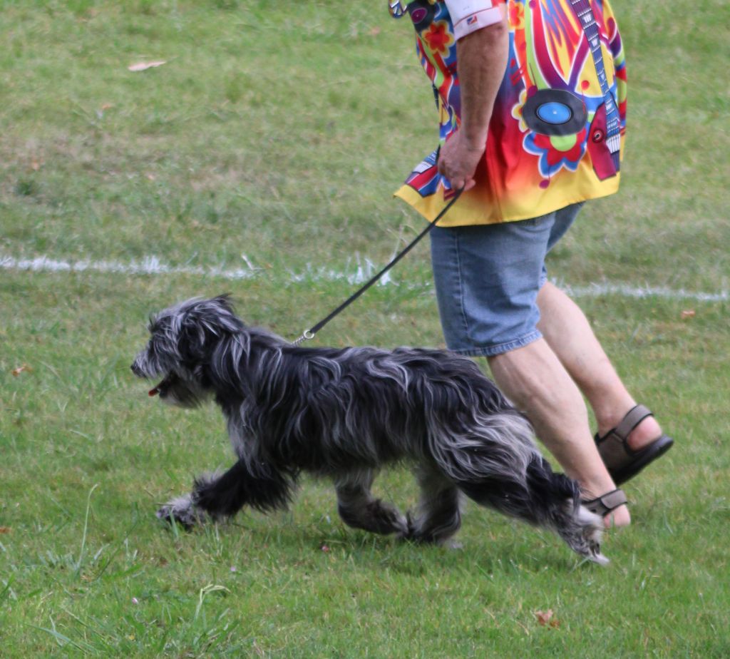 Mondiale RACP LE 20/09/25 MEILLEUR PUPPY